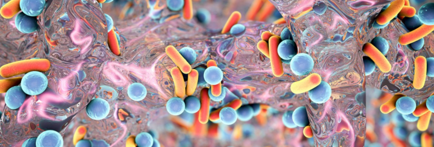 Bacteria Can Pass Memory of Biofilm Formation to Descendants, Study Shows