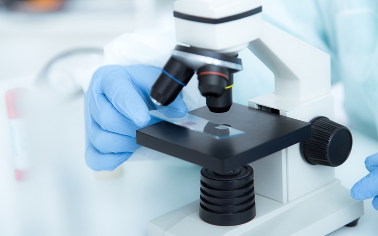 UCLA study indicates inhibitor could break down herpes virus