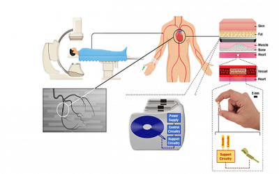 Two NIH training grants awarded to support UCLA/CalTech team